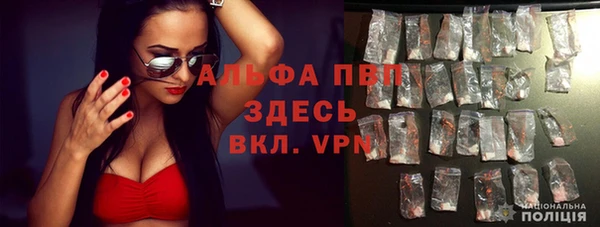 хмурый Мегион