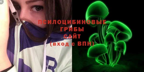 хмурый Мегион