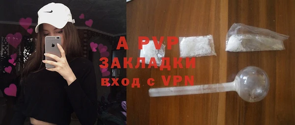 хмурый Мегион