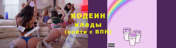 хмурый Мегион