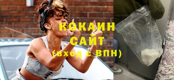 хмурый Мегион